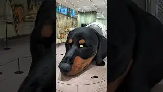 The shopping mall protected by a 