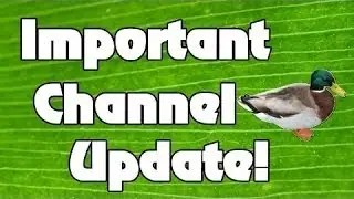 Channel Update- On Holiday!