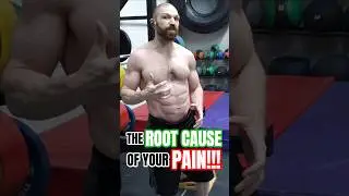 MASTERING the Joint-by-Joint Approach: ELIMINATE Knee Pain, Low Back Pain, Shoulder Pain & Neck Pain