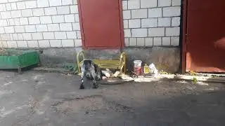 непремиримые друзья продолжение