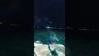 Köpek balığı Saldırısı