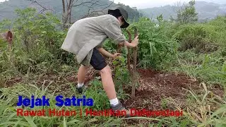 Jejak Satria (a thinking) || Merawat Hutan | Stop Deforestasi