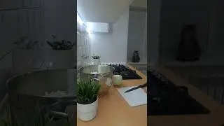 #маринованнаякапуста #салатизкапусты