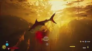 We're Growing! | Maneater Freeroam Gameplay HD PS5 | Teen Lvl. 5-7