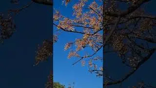 Зимний пейзаж Израиля