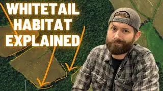 Guide to Whitetail Habitat - What to look for and how to find deer