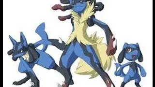 POKEMON-LUCARIO-FEEL INVINCIBLE