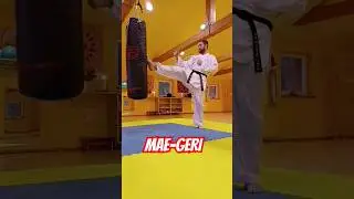 🔝MAE-GERI / Global Karate Academy