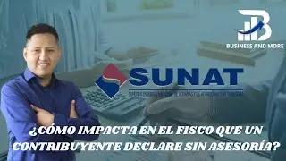 ¿El contribuyente puede realizar sus declaraciones sin asesoría?, ¿Qué dijo el jefe de la sunat?
