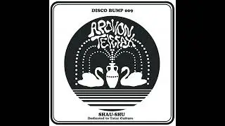 PREMIERE | Apollon Telefax - Aerylmagyz (feat.Camila Chamomile) [DISCO BUMP] 2023