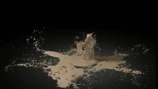 MAYA FX & Character FX
