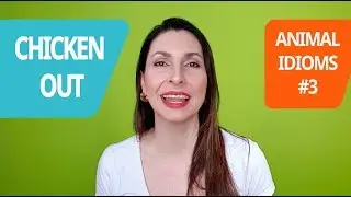 Expressões Idiomáticas: Animal Idioms #3
