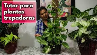 COMO HACER UN TUTOR ORGÁNICO PARA TUS PLANTAS TREPADORAS - EXCELENTE IDEA PARA UN NEGOCIO RENTABLE
