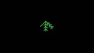 Drawing a snowflake in Python using Turtle! ❄