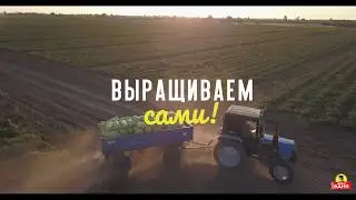 Дядя Ваня - Выращиваем сами. Рассвет