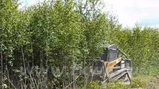 Мульчер Magnum MM60S на базе ASV PT-100 (Транснефть).wmv