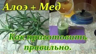 АЛОЭ + МЕД. Рецепт средства для профилактики заболеваний.