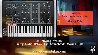 Presets for Cherry Audio Octave Cat | Vicious Antelope - Moving Cats