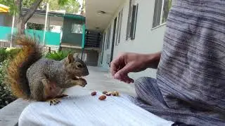 5 MINUTES OF...