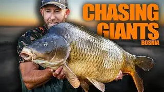 1300 Mile Trip + Mark Pitchers = Huge Carp  🤯 🐋 | Carp Fishing in Bosnia