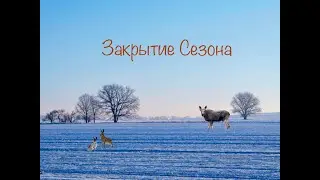ЗАКРЫТИЕ СЕЗОНА НА ЛОСЯ И ЗАЙЦА !!!! БУРГЕРЫ ИЗ ЛОСЯ VS ЗАЙЦА
