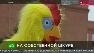 Самый креативный судья из США