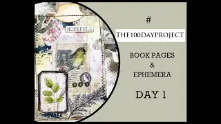 #the100dayproject