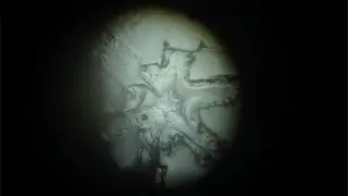 雪の結晶レプリカつくり（失敗）
