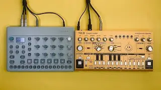 ACID TECHNO // Synth Performance