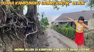 SUASANA KAMPUNGKU HUJAN GRIMIS INDAH DAN ADEM‼️