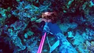 Shark Week Spearfishing in the Exumas HD