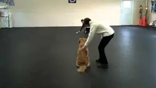 Go-Outs