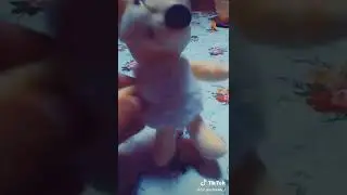 #pov