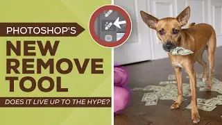 Photoshop's New Remove Tool