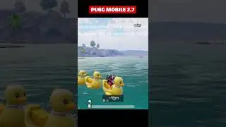 Baby Ducky at Pubg Mobile 2.7
