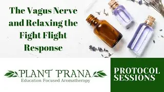 The Vagus Nerve and Relaxing the Fight Flight Response