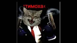 Robin Muche в прямом эфире!