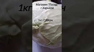 Цена на капусту 