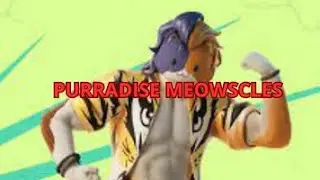 Report back to PURRADISE MEOWSCLES !! - Fortnite