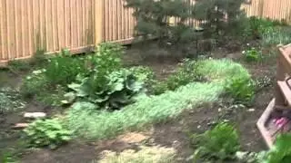 Каюм Насыйри музее (часть 1)