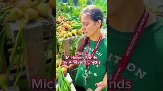 Onion Harvest #SurvivalSeeds2024