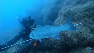 Chasse sous marine côte d'azur janvier 2020