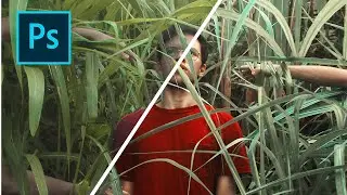 Quick Color Correction Tip to Improve Dull images - (Technicolor)