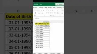 How to Calculate age in Excel | How to use Datedif formula in Excel 