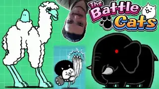 THE BATTLE CATS #87 - A ALPACKY, O LE'NOIR E O HEAVYWEIGHT CAT