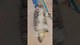 супер прикол😄🤪кто в доме хозяин