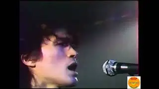 Виктор Цой||ДК МЭЛЗ 1988