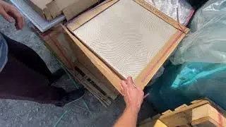 Carrara Керамогранит 60*60