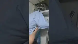как енот Витя стелил себе в поезде постель😅