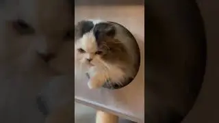 Right on queue